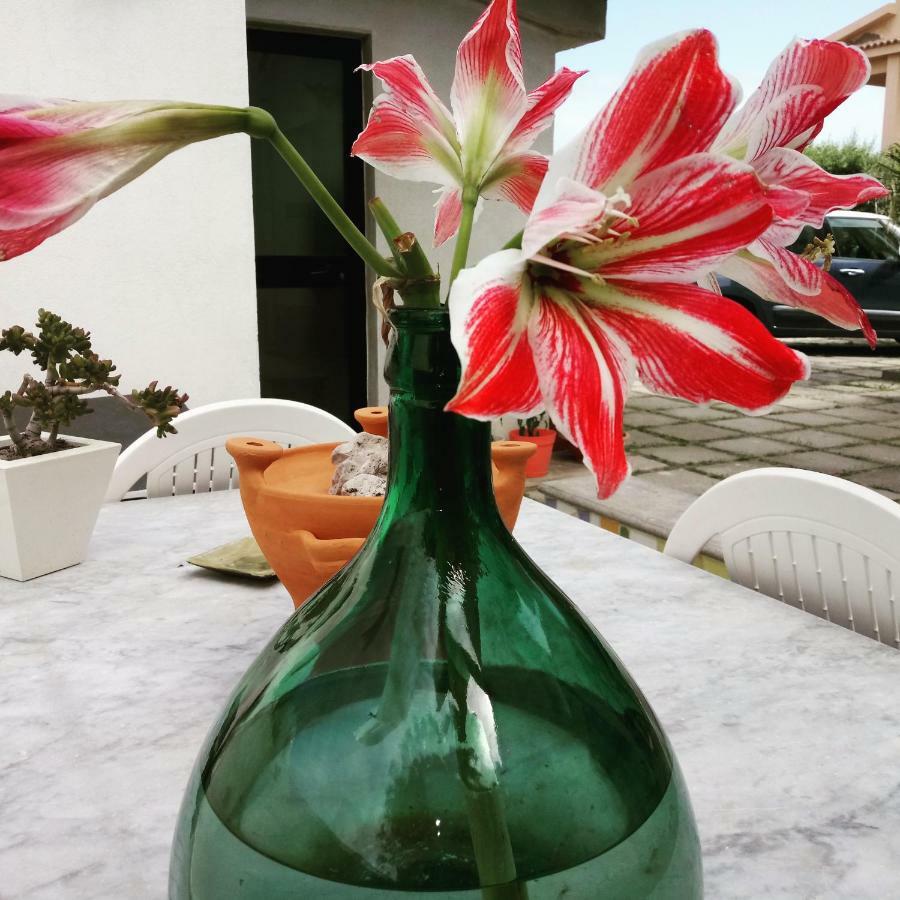ברצלונה פוצו די גוטו Idria B&B מראה חיצוני תמונה